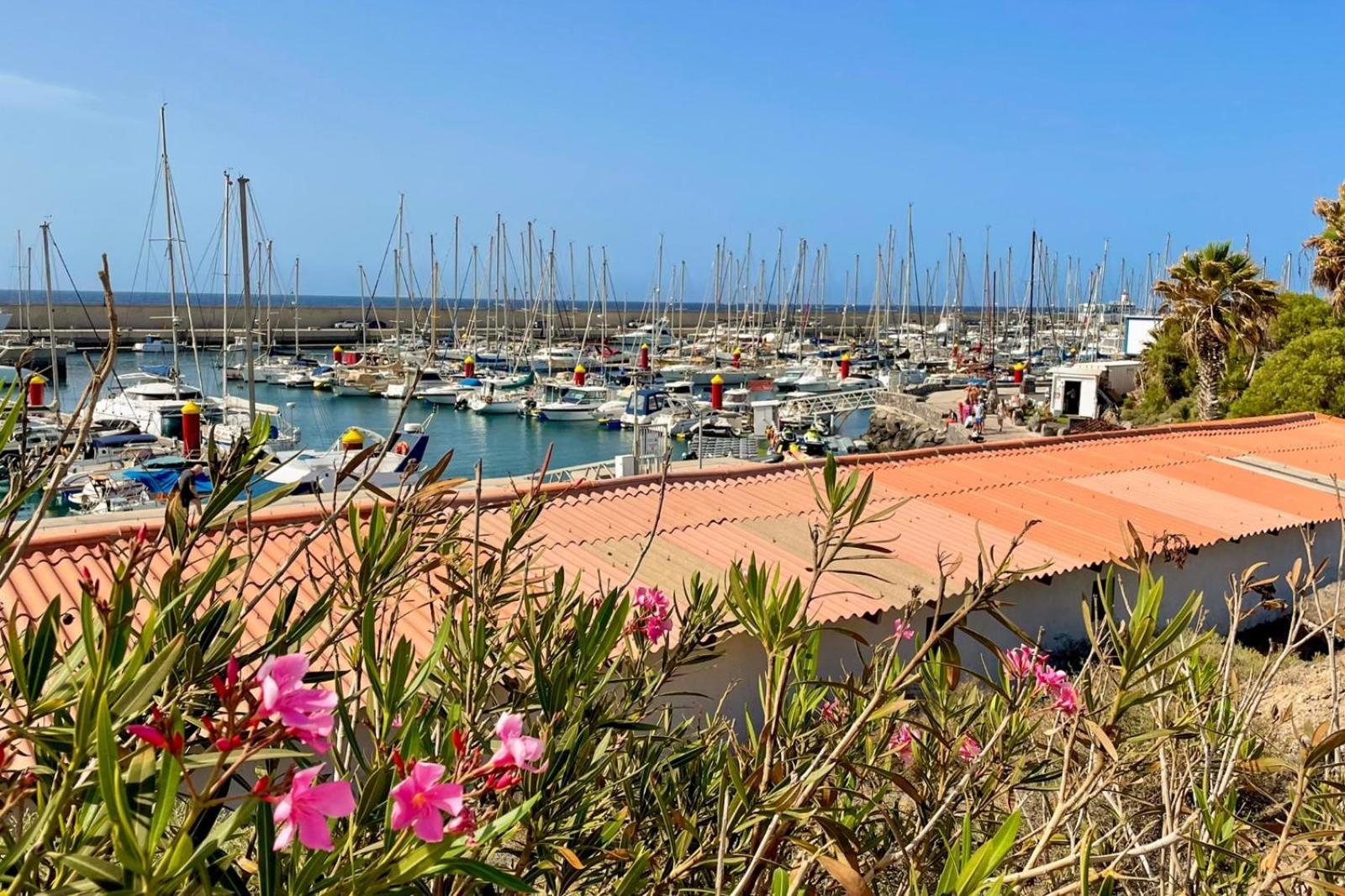 Amarilla Golf Apartment San Miguel de Abona Dış mekan fotoğraf